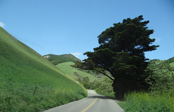 slideshow image